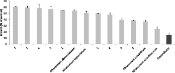 Image result for Aframomum polyanthum