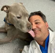 Joseph Impellizeri's Instagram, Twitter & Facebook