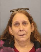 Troy woman charged with assaulting disabled resident of Saratoga County  facility