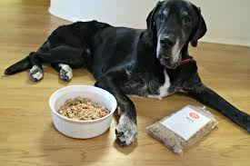 Here's what a veterinarian thinks but the wrong food can cause much worse than tummy trouble. 6fevxxzr E Dlm