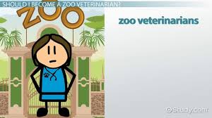 Becoming A Zoo Veterinarian Step By Step Career Guide