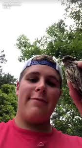 @sam_johnson03's video Tweet