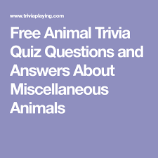 Displaying 162 questions associated with treatment. Animal Trivia For Kids With Answers