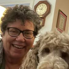 What type of spider is this?