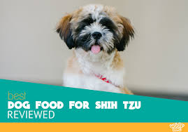 Best Dog Food For Shih Tzu Review And Buyers Guide For 2019