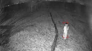 On january 5, jennifer hodge was in her bedroom when she received an eerie notification: Texas Home Security Cam Captures Eerie Photos Over Holiday Weekend