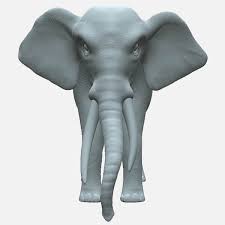 3d Animals Google List Elephant