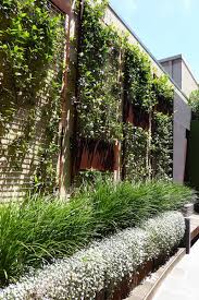 Fremantle Landscape Design Perth Garden Plants Design Landscape Design Australian Garden Design