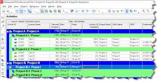 primavera p6 gantt charts onepager express