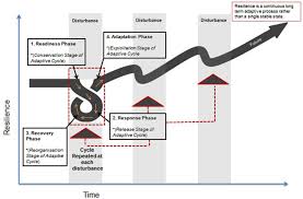 Penguin books, 1999 , p. Resilience In Agri Food Supply Chains A Critical Analysis Of The Literature And Synthesis Of A Novel Framework Emerald Insight