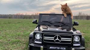 Ginger Cat Went To Nature In A Jeep Mercedes Benz G Class Amg And Came To The Big Stumps For Kids Youtube