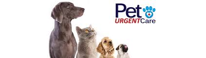 This can mean innovative treatment for your pet at a fraction of the cost you'd pay elsewhere. Pet Urgent Care Llc Home Facebook