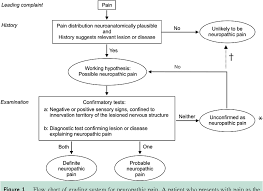 Figure 1 From Revised Definition Of Neuropathic Pain And Its