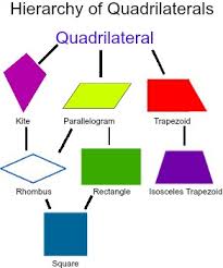What Is The Hierarchy Of Quadrilaterals Video Lesson