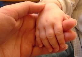 Islamabad The Nazariya I Paksitan Council Npc Islamabad Has Arranged A Special Programme On Mother S Parenting Decisions Natural Birth National Adoption Day