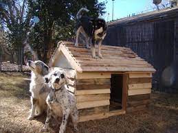 Advertisements to show you how it works, we have brought this diy pallet dog house or kennel tutorial for you that will make you get with step by step details. Bring The Luck To Home 16 Pallet Dog House