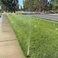 Certified Irrigation Contractor (CIC) Class - Earn 16 CEH
