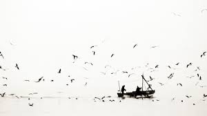 High Resolution Black And White Hd 1080p Background Id 292067 For Pc All of them are in hd with a resolution of 1080p, that is however, we don't delve too much into this philosophical discussion and keep ourselves limited to the black and white wallpapers that you would. white hd 1080p background id 292067