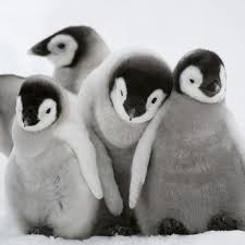 ben-brook (Ben Brook) · GitHub