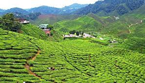 The document contains the strategic issues, vision, objectives, strategies and programmes. Inside Malaysia S Smart Village Project Govinsider
