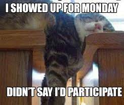 Pin On Monday Blues