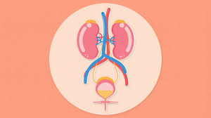 You may also need to remove it if you are at a greater risk of getting the cancer again or of it spreading. 4 Causes Of Bladder Pain Everyday Health