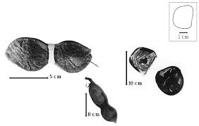 Image result for Macropsychanthus