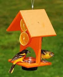 Feeder Bird Identifier By Picture Orange Oriole Feeder Diy Bird Feeder Bird Feeders Bird Houses Diy