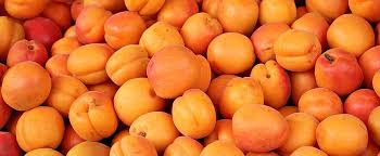 With tenor, maker of gif keyboard, add popular eat peach animated gifs to your conversations. Yellow And Red Fruit Lot Apricots Fruit Fruits Sweet Healthy Delicious Eat Food Peaches Pxfuel