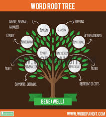 Detailed List Of Words Based On Bene Root Along With Meaning Root Words Different Words Words