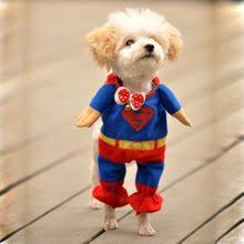 Sevimli Evcil Kopek Superman Giyim Kostumleri Elbise Kopek Tulum Giyim Sicak China Mainland Sevimli Hayvan Yavrulari Cok Sirin Hayvanlar Sevimli Kopekler