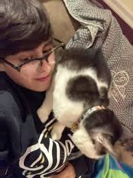 Deaf cat Leo is home safe * Hamburg