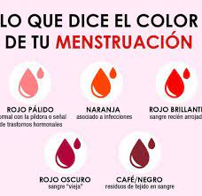 Pin En Human Body And Health