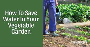 In this video i talk about how to make a home garden step by step. How To Save Water In Your Vegetable Garden 17 Handy Tips Home Garden Vegetables