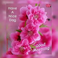 Pin By Maritza Munoz On Good Morning Quotes Good Morning Flowers Morning Flowers Good Morning Greetings