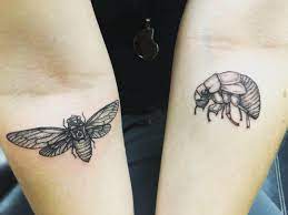 More images for cicada tattoo meaning » My New Scissor Grinder Cicada Tattoos Entomology