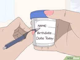 How To Collect A Sterile Urine Sample 12 Steps With Pictures