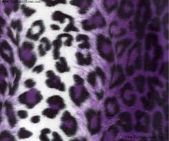 Download, share or upload your own one! 44 Purple Cheetah Print Wallpaper On Wallpapersafari