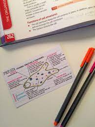 Extreme Annotator Study Flashcards Study Notes School Notes