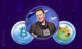 Dogecoin is better than bitcoin because it has lower fees, higher transaction speed, is not concentrated by the top 2% holders, price is stable, mining is profitable, disincentivizes hoarding. Is Elon Musk Pro Bitcoin Or Pro Dogecoin Or Maybe He S Just A Big Fan Of Crypto