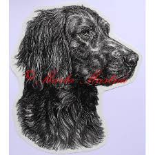 Image result for německý ohař dlouhosrstý