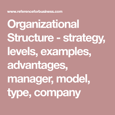 Organizational Structure Strategy Levels Examples Advantages Manager Model Type Company Organizational Structure Management Life Skills