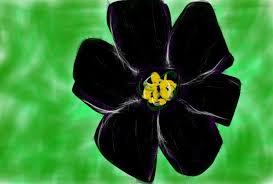 Maybe you would like to learn more about one of these? Black Cat Petunia By Sweetyhearty89 On Deviantart