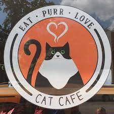 Eat Purr Love The Coolest Cat Cafe In Columbus Ohio Zen Life And Travel Cat Cafe Cat Merchandise Cats