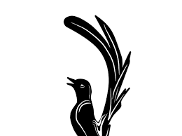 Penyebaran burung murai sekarang ini sampai pada seluruh negara yang terdapat di asia. Burung Png Vector Masteran Kicau Club