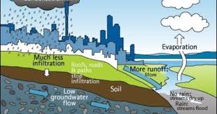 Using Groundwater Wisely Groundwater Water Cycle Groundwater Activities