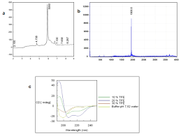 Oncorhynchus mykiss (rainbow trout) (salmo gairdneri). Figure 1 Development Of A Caspase 3 Antibody As A Tool For Detecting Apoptosis In Cells From Rainbow Trout Oncorhynchus Mykiss