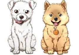 Luitfeldt I Will Draw Your Pet Or Any Animal In A Cute Chibi Manga Style For 5 On Fiverr Com Chibi Animals Cute Chibi