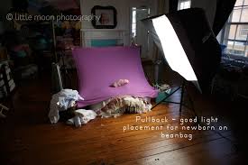 Little Moon Photography Virgnia S Premier Newborn Photographer Virginia Newborn Photographer Virgnia Baby Photographer