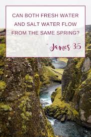 James 3 1 12 The Weight Of Words Scripture Confident Living Book Of James Biblical Meditation Praise God
